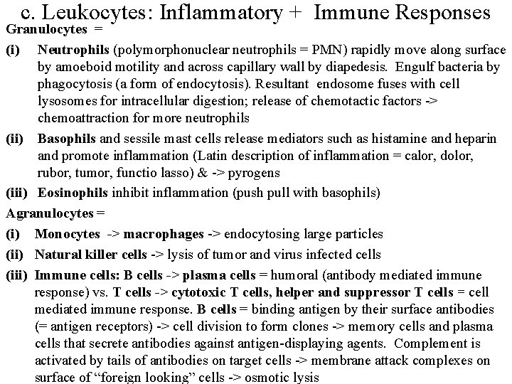 c. Leukocytes: Inflammatory + Immune Responses Granulocytes = (i) Neutrophils (polymorphonuclear neutrophils = PMN)