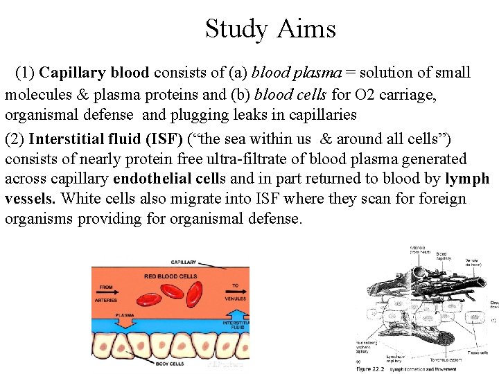 Study Aims (1) Capillary blood consists of (a) blood plasma = solution of small