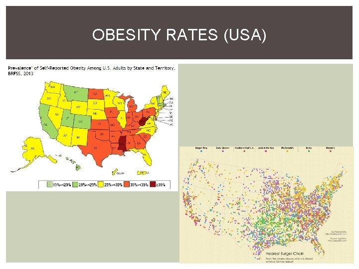 OBESITY RATES (USA) 