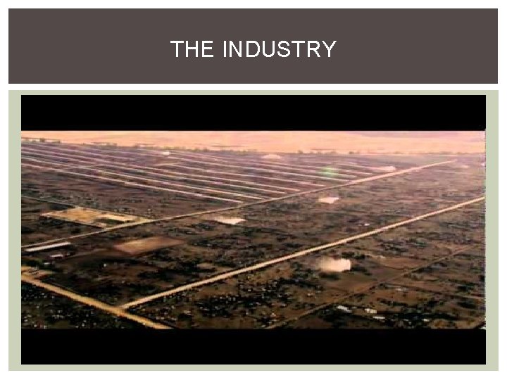 THE INDUSTRY 