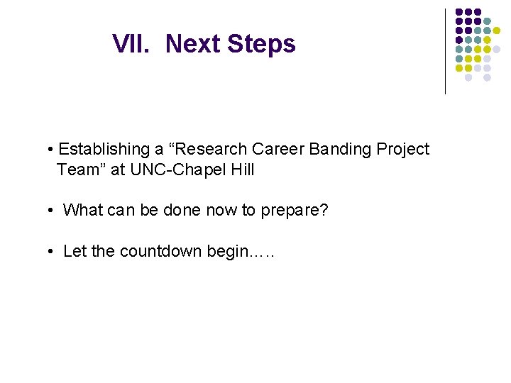 VII. Next Steps • Establishing a “Research Career Banding Project Team” at UNC-Chapel Hill