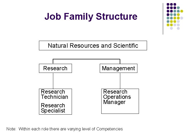 Job Family Structure Natural Resources and Scientific Research Management Research Technician Research Specialist Research