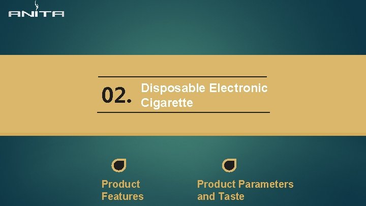 02. Disposable Electronic Cigarette Product Features Product Parameters and Taste 