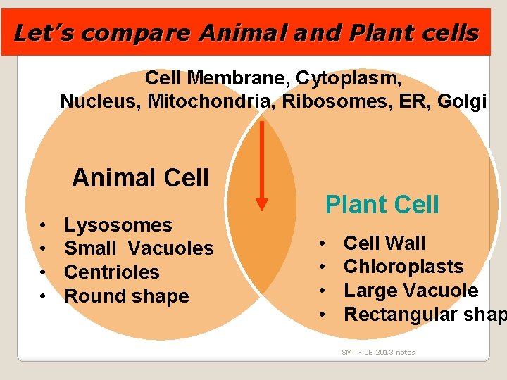 Let’s compare Animal and Plant cells Cell Membrane, Cytoplasm, Nucleus, Mitochondria, Ribosomes, ER, Golgi