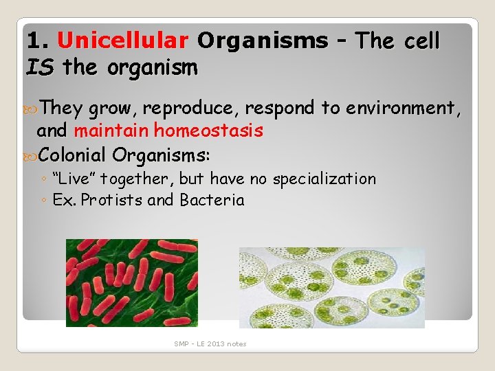 1. Unicellular Organisms - The cell IS the organism They grow, reproduce, respond to