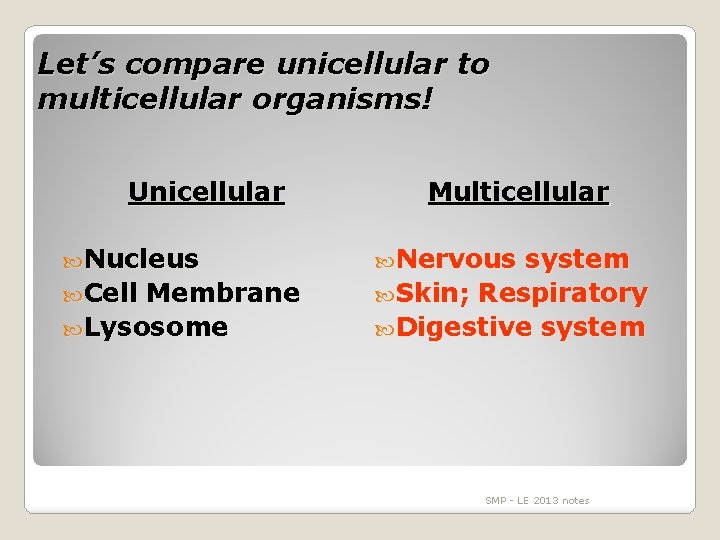 Let’s compare unicellular to multicellular organisms! Unicellular Nucleus Cell Membrane Lysosome Multicellular Nervous system