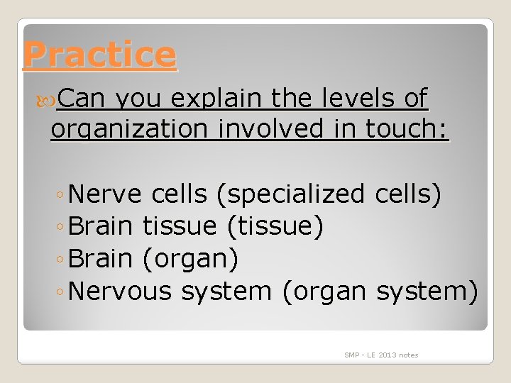 Practice Can you explain the levels of organization involved in touch: ◦ Nerve cells