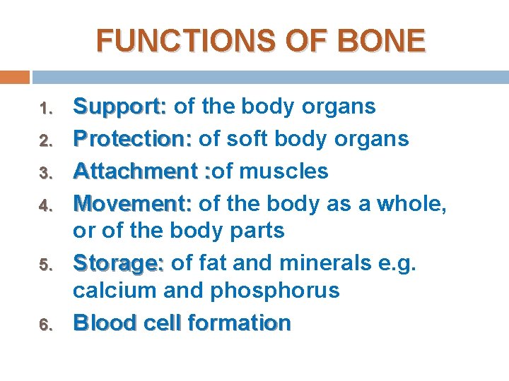 FUNCTIONS OF BONE 1. 2. 3. 4. 5. 6. Support: of the body organs FUNCTIONS OF BONE 1. 2. 3. 4. 5. 6. Support: of the body organs