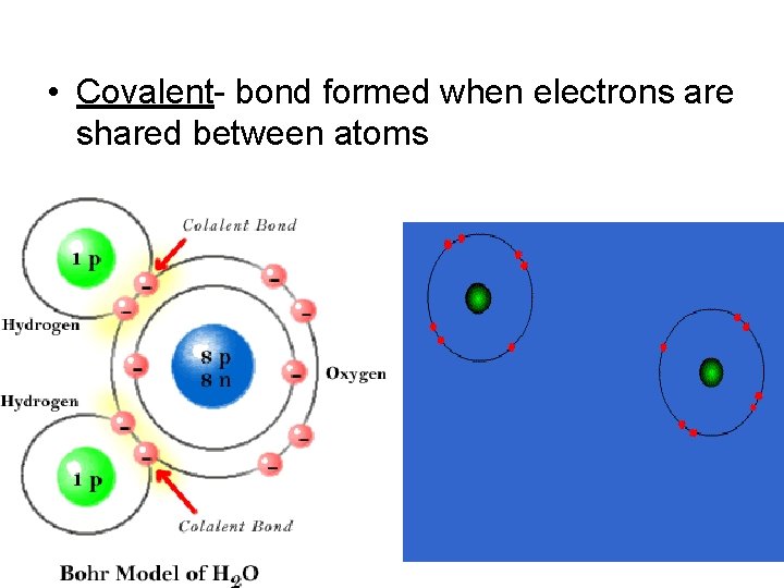  • Covalent- bond formed when electrons are shared between atoms 