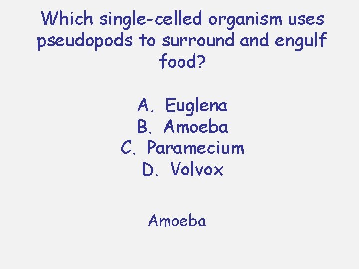 Which single-celled organism uses pseudopods to surround and engulf food? A. Euglena B. Amoeba