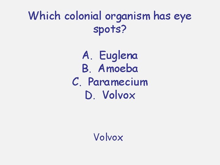 Which colonial organism has eye spots? A. Euglena B. Amoeba C. Paramecium D. Volvox
