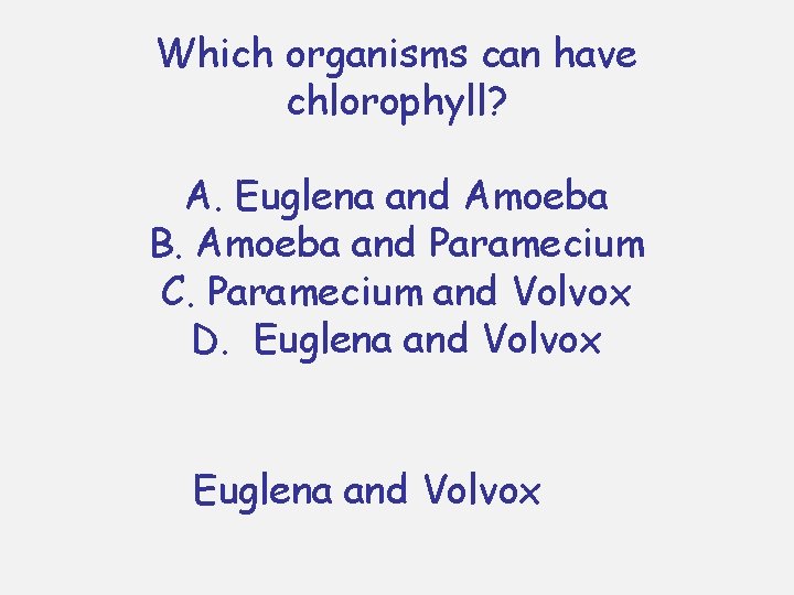 Which organisms can have chlorophyll? A. Euglena and Amoeba B. Amoeba and Paramecium C.