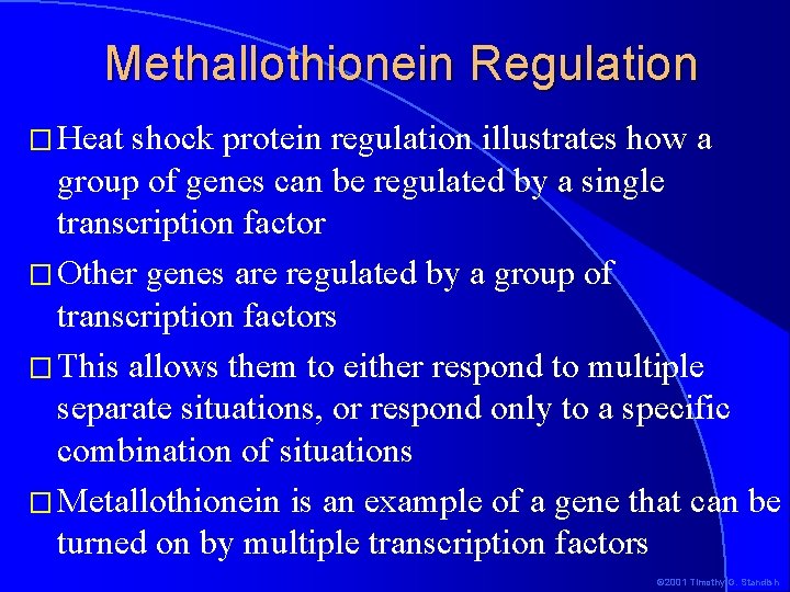 Methallothionein Regulation � Heat shock protein regulation illustrates how a group of genes can