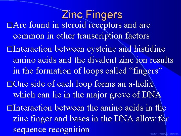 �Are Zinc Fingers found in steroid receptors and are common in other transcription factors