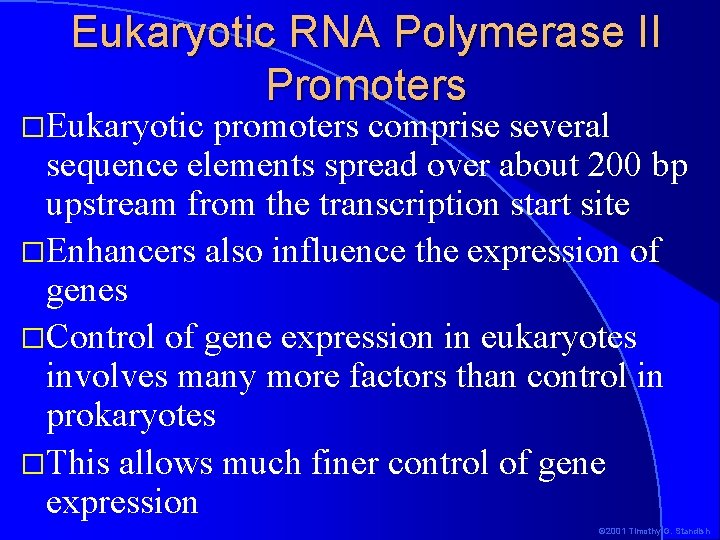 Eukaryotic RNA Polymerase II Promoters �Eukaryotic promoters comprise several sequence elements spread over about