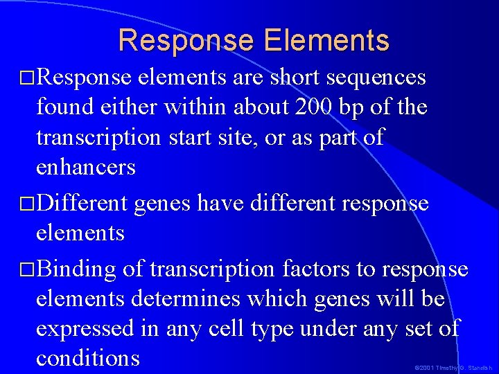 Response Elements �Response elements are short sequences found either within about 200 bp of
