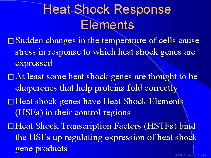 Heat Shock Response Elements � Sudden changes in the temperature of cells cause stress