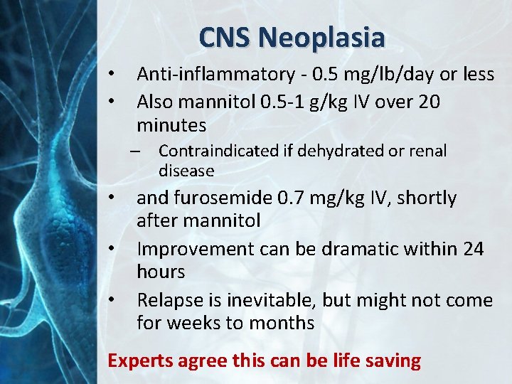 CNS Neoplasia • Anti-inflammatory - 0. 5 mg/lb/day or less • Also mannitol 0.