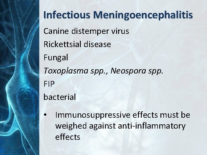 Infectious Meningoencephalitis Canine distemper virus Rickettsial disease Fungal Toxoplasma spp. , Neospora spp. FIP