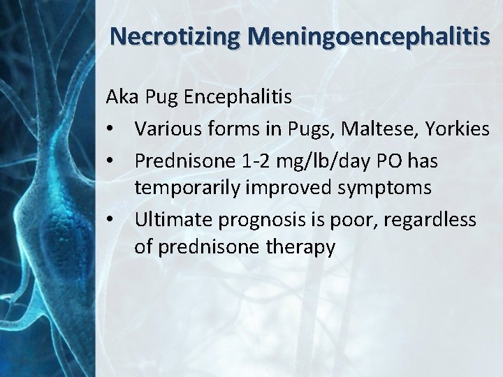 Necrotizing Meningoencephalitis Aka Pug Encephalitis • Various forms in Pugs, Maltese, Yorkies • Prednisone
