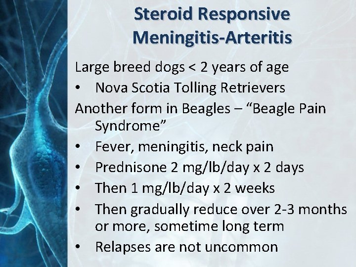 Steroid Responsive Meningitis-Arteritis Large breed dogs < 2 years of age • Nova Scotia