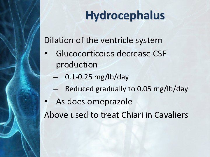 Hydrocephalus Dilation of the ventricle system • Glucocorticoids decrease CSF production – 0. 1