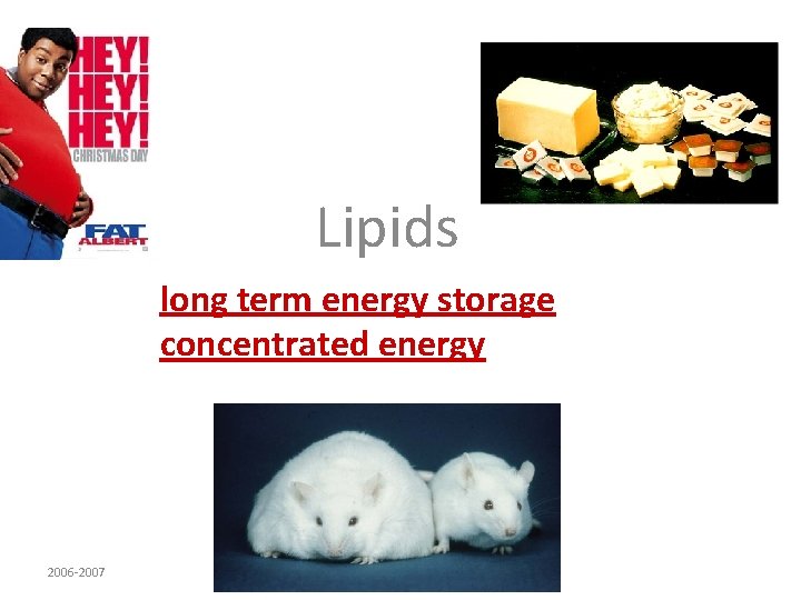 Lipids long term energy storage concentrated energy 2006 -2007 