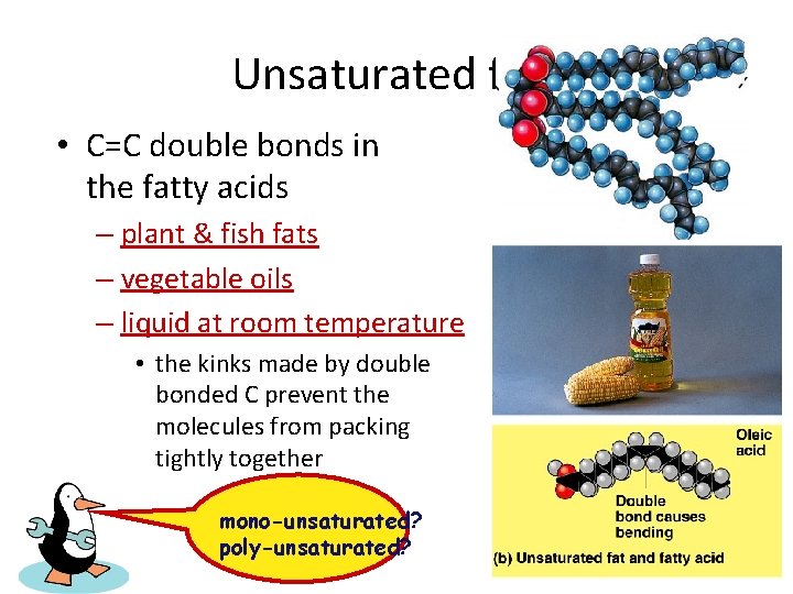 Unsaturated fats • C=C double bonds in the fatty acids – plant & fish