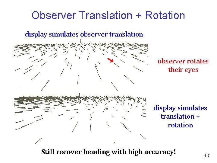 Observer Translation + Rotation display simulates observer translation observer rotates their eyes display simulates