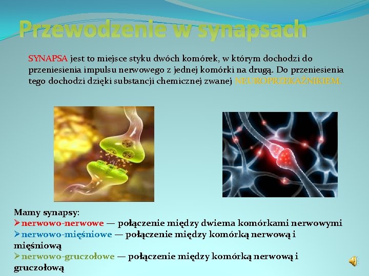 Przewodzenie w synapsach SYNAPSA jest to miejsce styku dwóch komórek, w którym dochodzi do