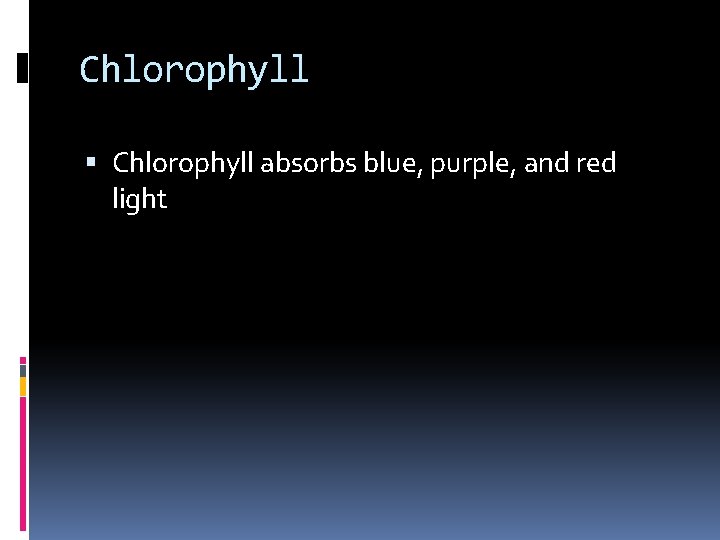 Chlorophyll absorbs blue, purple, and red light 