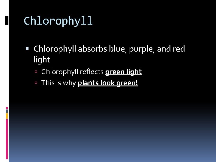 Chlorophyll absorbs blue, purple, and red light Chlorophyll reflects green light This is why