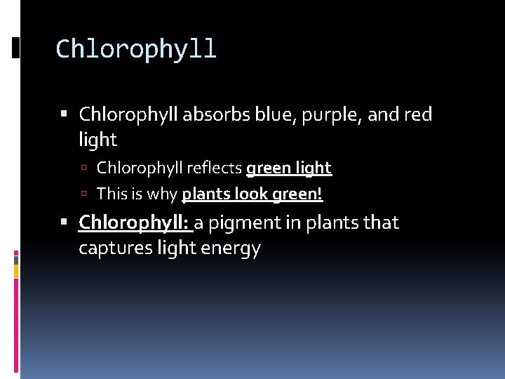 Chlorophyll absorbs blue, purple, and red light Chlorophyll reflects green light This is why