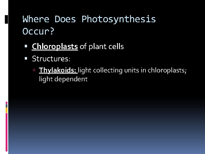 Where Does Photosynthesis Occur? Chloroplasts of plant cells Structures: Thylakoids: light collecting units in