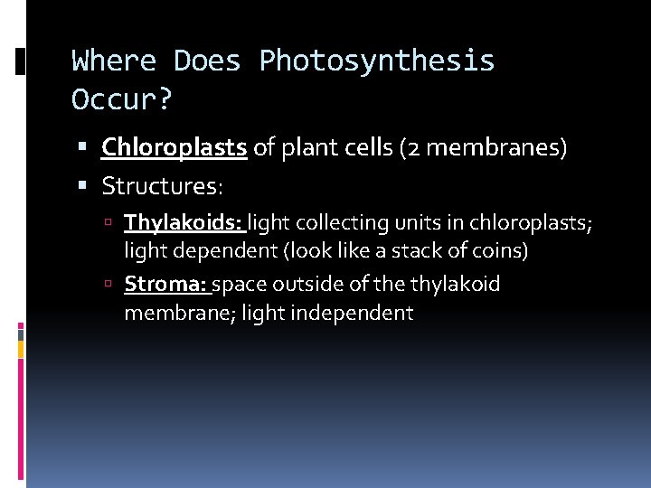 Where Does Photosynthesis Occur? Chloroplasts of plant cells (2 membranes) Structures: Thylakoids: light collecting