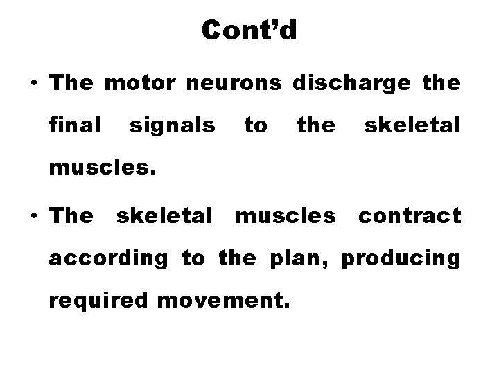 Cont’d • The motor neurons discharge the final signals to the skeletal muscles. •