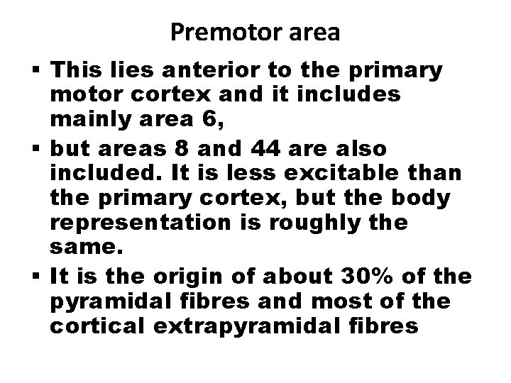 Premotor area § This lies anterior to the primary motor cortex and it includes