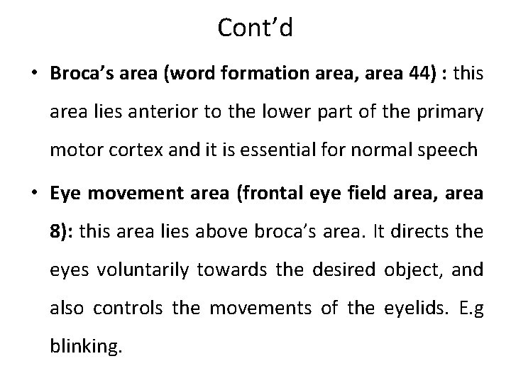Cont’d • Broca’s area (word formation area, area 44) : this area lies anterior