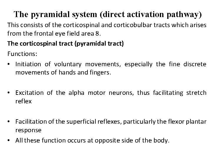 The pyramidal system (direct activation pathway) This consists of the corticospinal and corticobulbar tracts