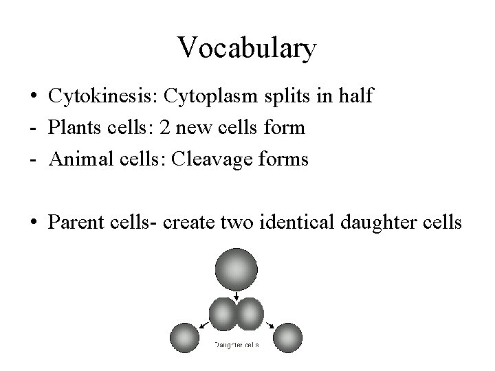 Vocabulary • Cytokinesis: Cytoplasm splits in half - Plants cells: 2 new cells form