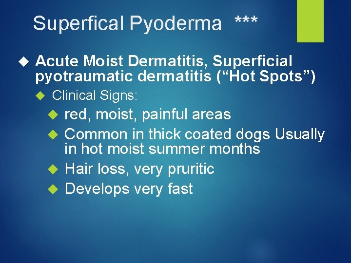 Superfical Pyoderma *** Acute Moist Dermatitis, Superficial pyotraumatic dermatitis (“Hot Spots”) Clinical Signs: red,