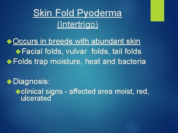 Skin Fold Pyoderma (Intertrigo) Occurs in breeds with abundant skin Facial folds, vulvar folds,