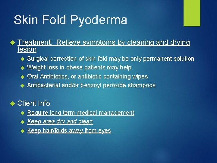 Skin Fold Pyoderma Treatment: Relieve symptoms by cleaning and drying lesion Surgical correction of