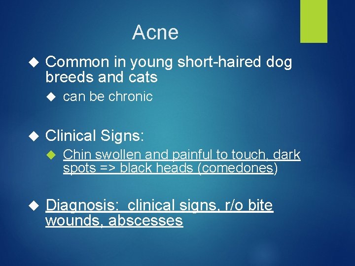 Acne Common in young short-haired dog breeds and cats Clinical Signs: can be chronic
