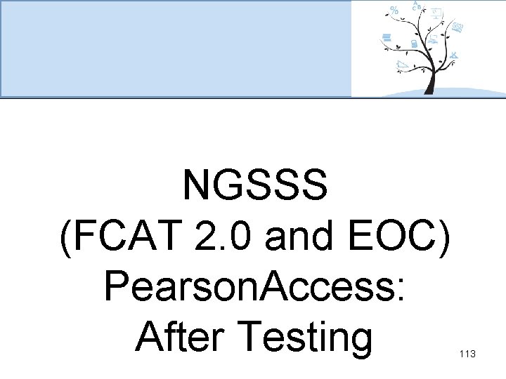 NGSSS (FCAT 2. 0 and EOC) Pearson. Access: After Testing 113 