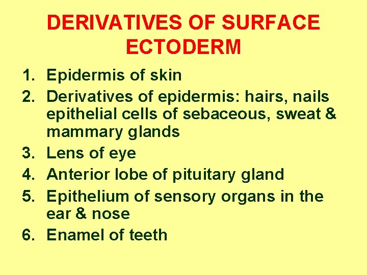DERIVATIVES OF SURFACE ECTODERM 1. Epidermis of skin 2. Derivatives of epidermis: hairs, nails