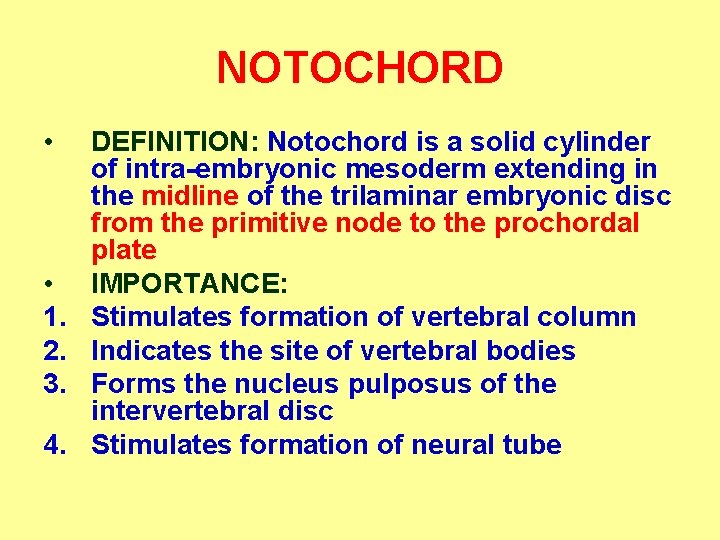 NOTOCHORD • • 1. 2. 3. 4. DEFINITION: Notochord is a solid cylinder of