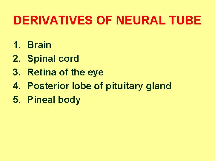 DERIVATIVES OF NEURAL TUBE 1. 2. 3. 4. 5. Brain Spinal cord Retina of