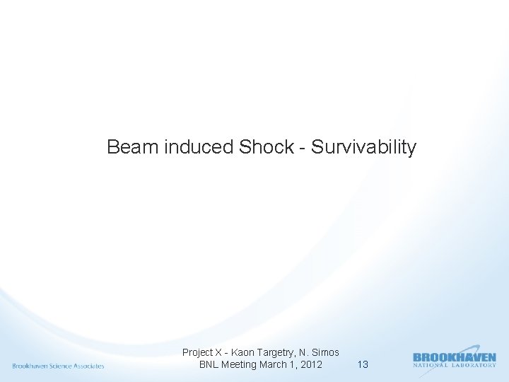 Beam induced Shock - Survivability Project X - Kaon Targetry, N. Simos BNL Meeting