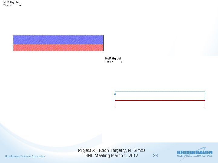Project X - Kaon Targetry, N. Simos BNL Meeting March 1, 2012 28 